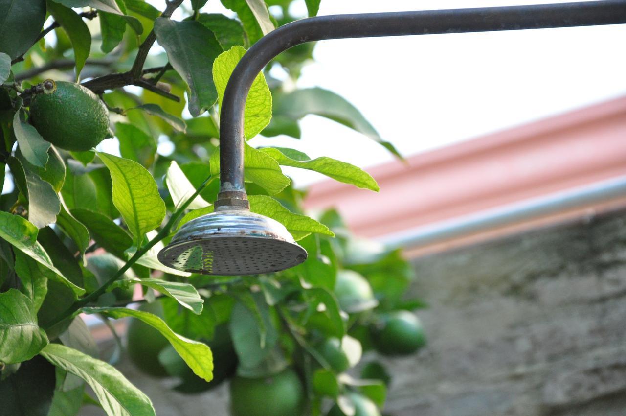 Lemon Garden Hostel Sevilla 외부 사진