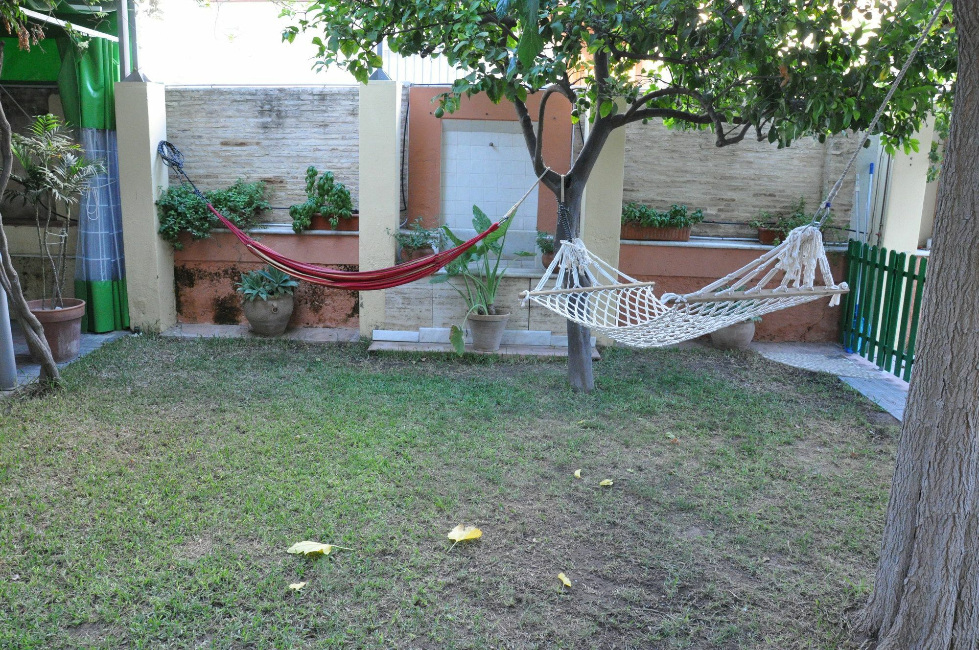 Lemon Garden Hostel Sevilla 외부 사진
